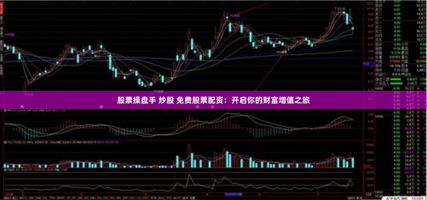 股票操盘手 炒股 免费股票配资：开启你的财富增值之旅