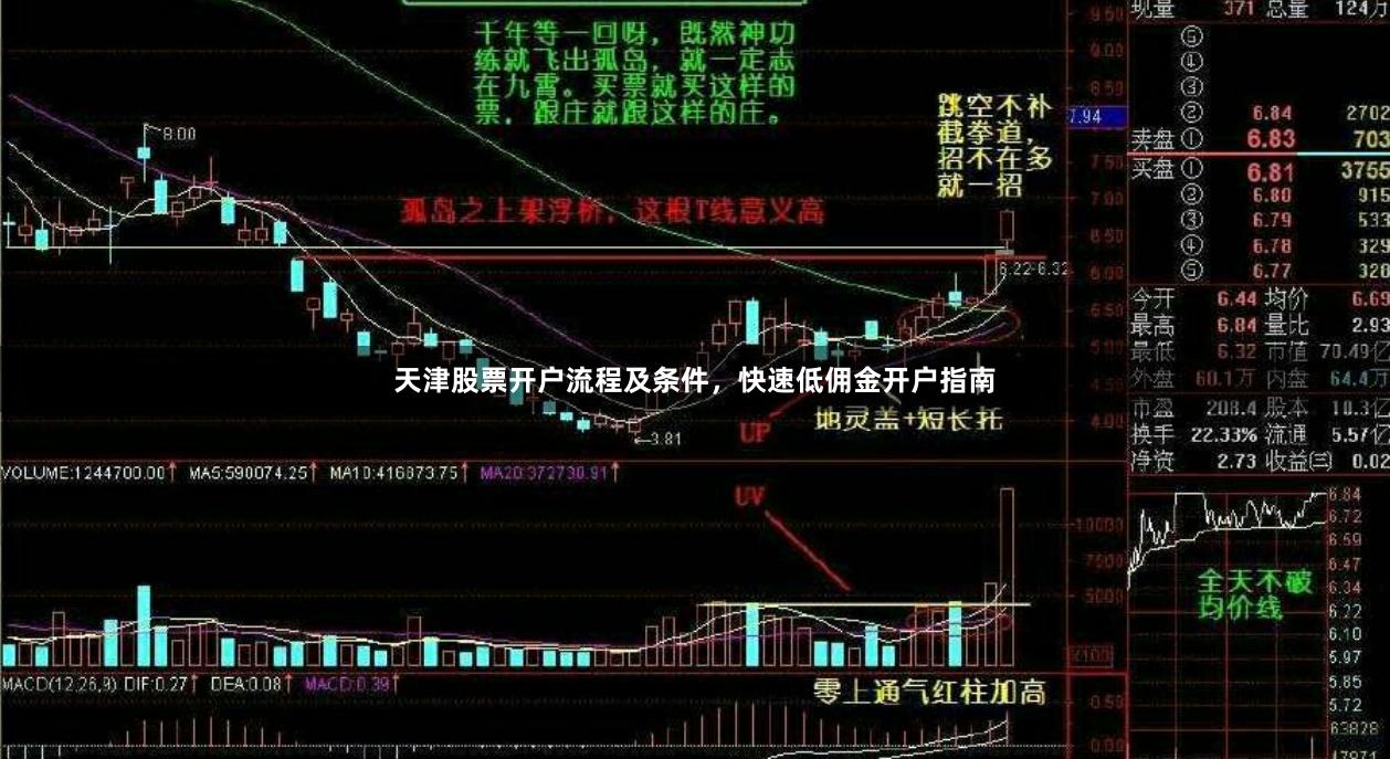 天津股票开户流程及条件，快速低佣金开户指南